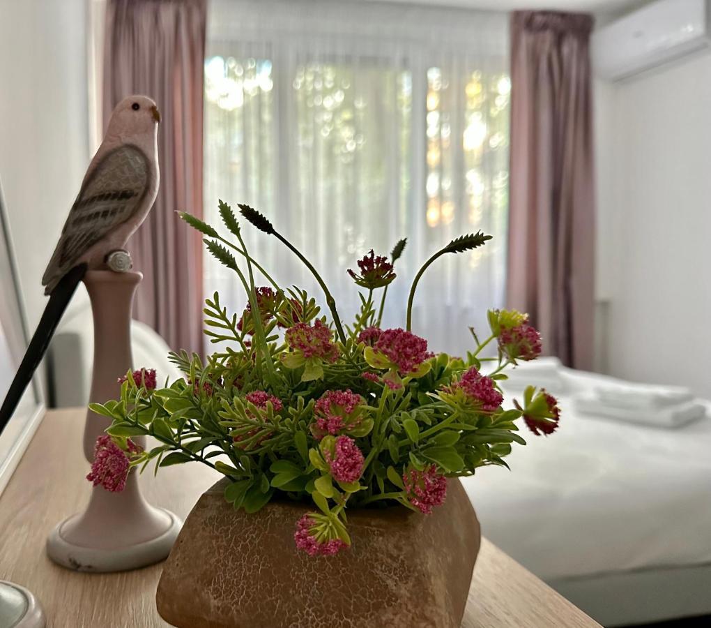 Xox Comfort Obregia Bukares Bagian luar foto
